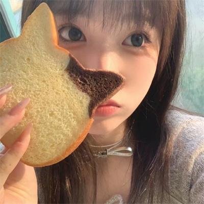 命运小说家